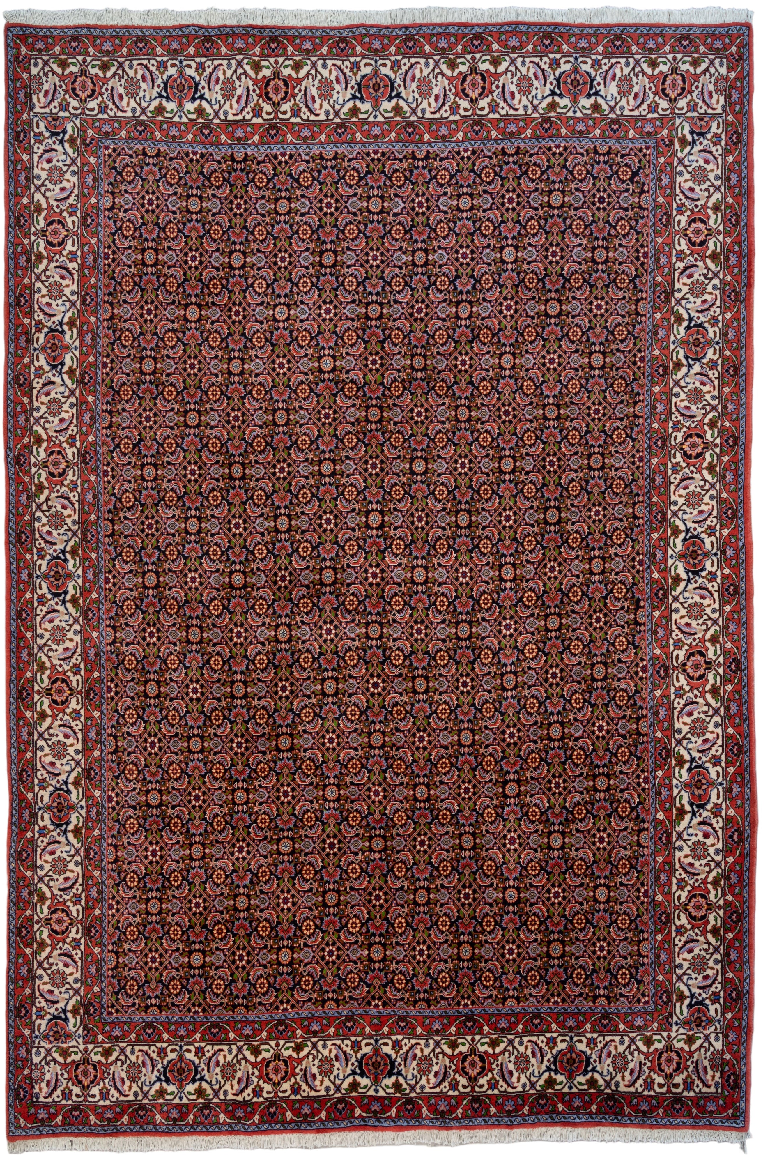 Persian Bidjar 6'9" x 10'