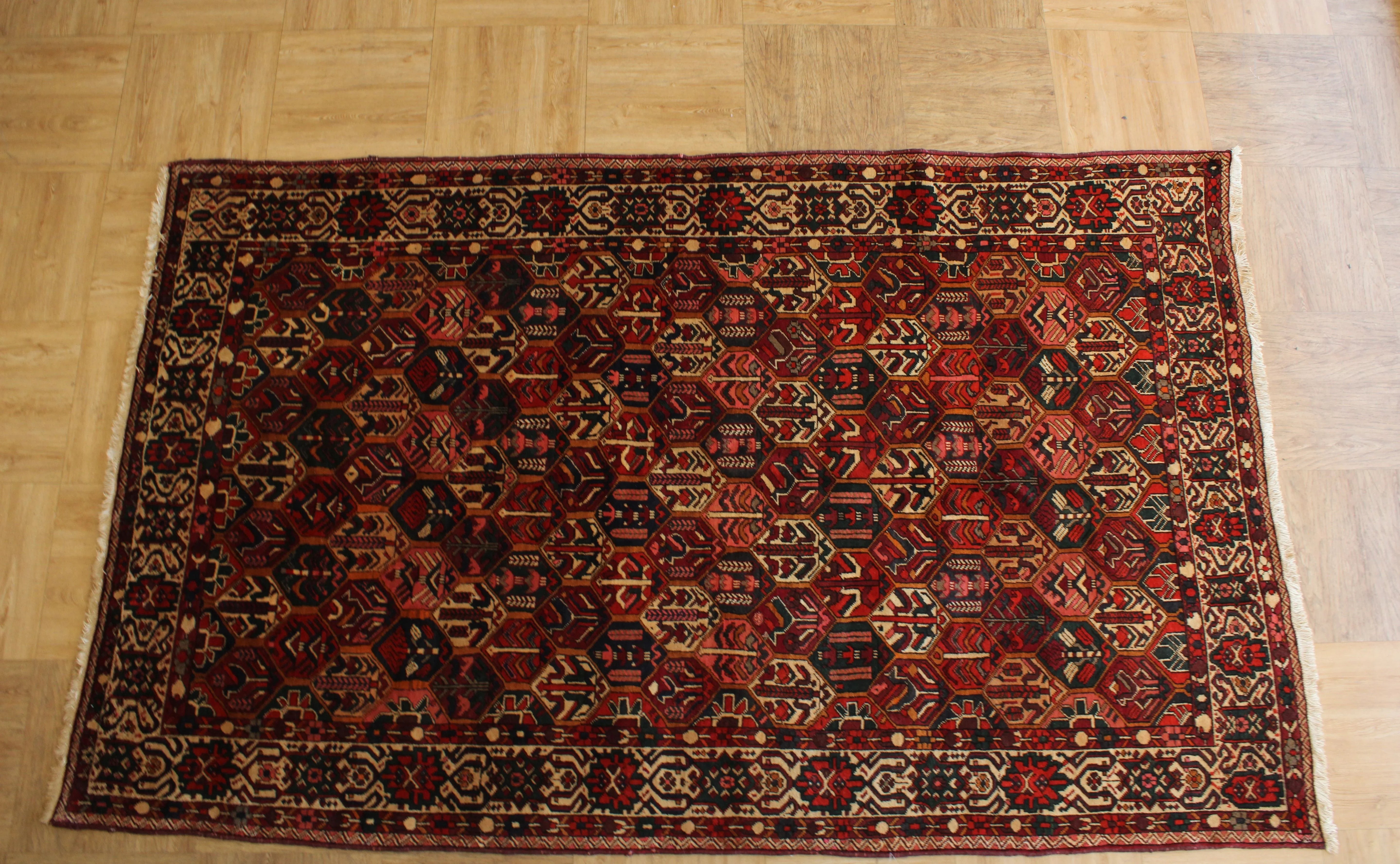 Persian Bakhtiari Hand Knotted Rug