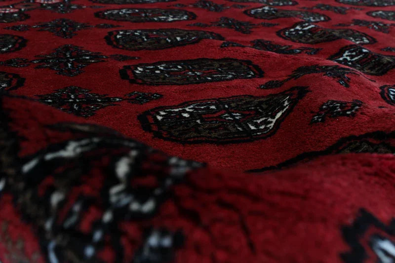 Bokara Design Hand Knotted Wool Rug - Modern Rug Importers