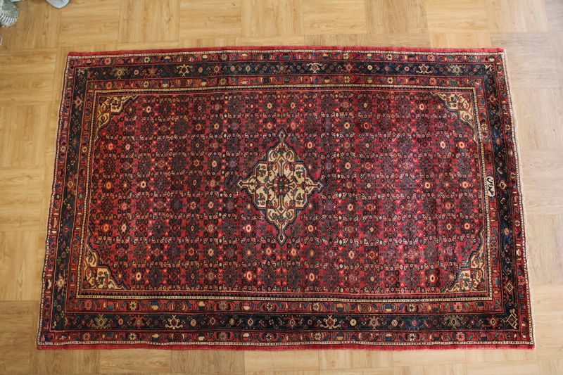 Persian Hamadan Hand Knotted Rug