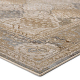 SNL04 Sinclaire - Vibe by Jaipur Living Hadwin Oriental Area Rug - Modern Rug Importers
